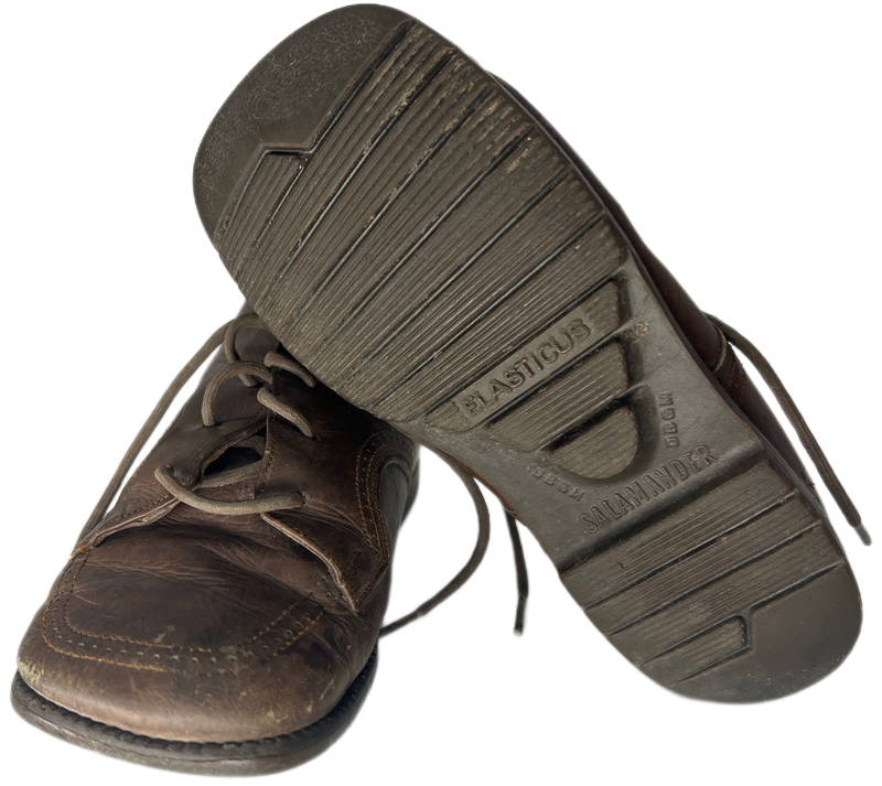 Elasticus Salamander